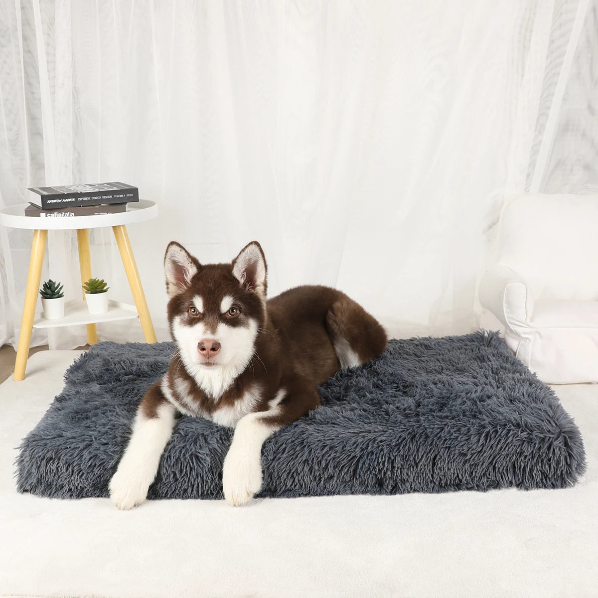 Dog Mat Fluffy Bed Cushion Accessory Supplies Pets Dogs Accessories Basket Baskets Big Small Pet Products Large Beds Sofa Cats