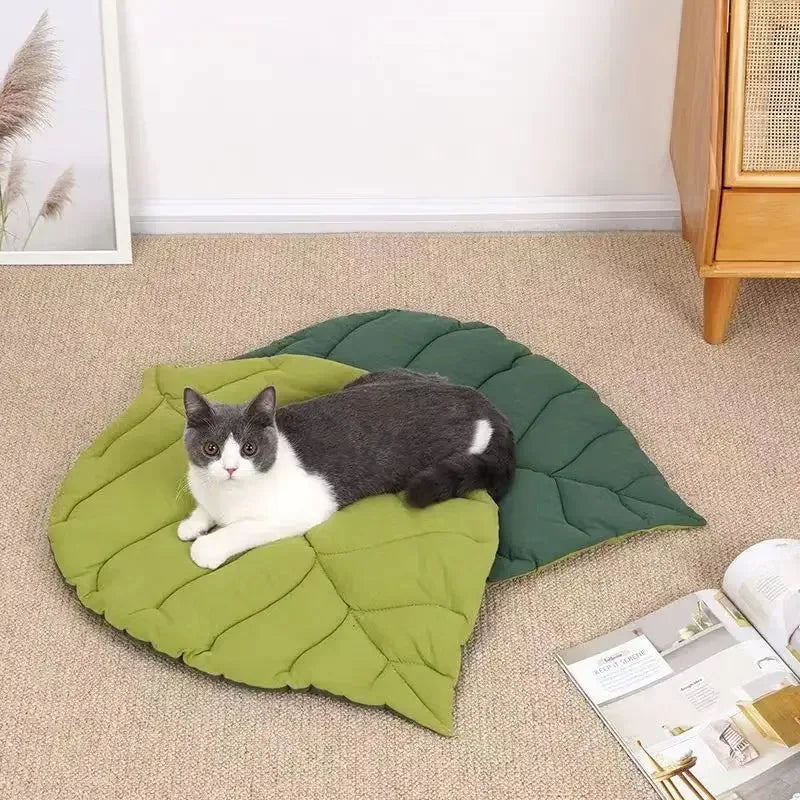 Kitten Bed Cats All Things Pet Accessory Houses House Products Beds Accessories Dog Mat Supplies Cushions Habitats Basket Puppy