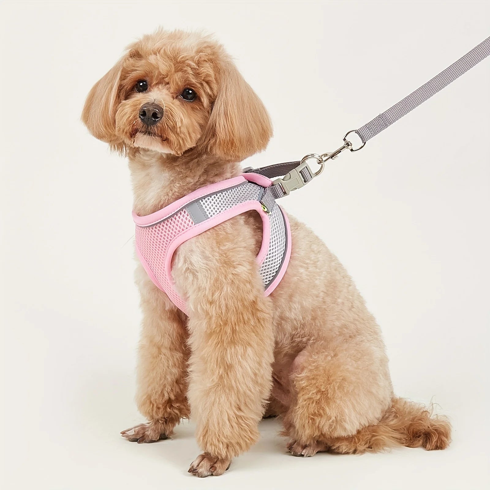 Dog Harness Small Dogs Breast-band Pet Accessories Leash Reflective Soft Mesh Dog Harness for Small and Medium Breeds