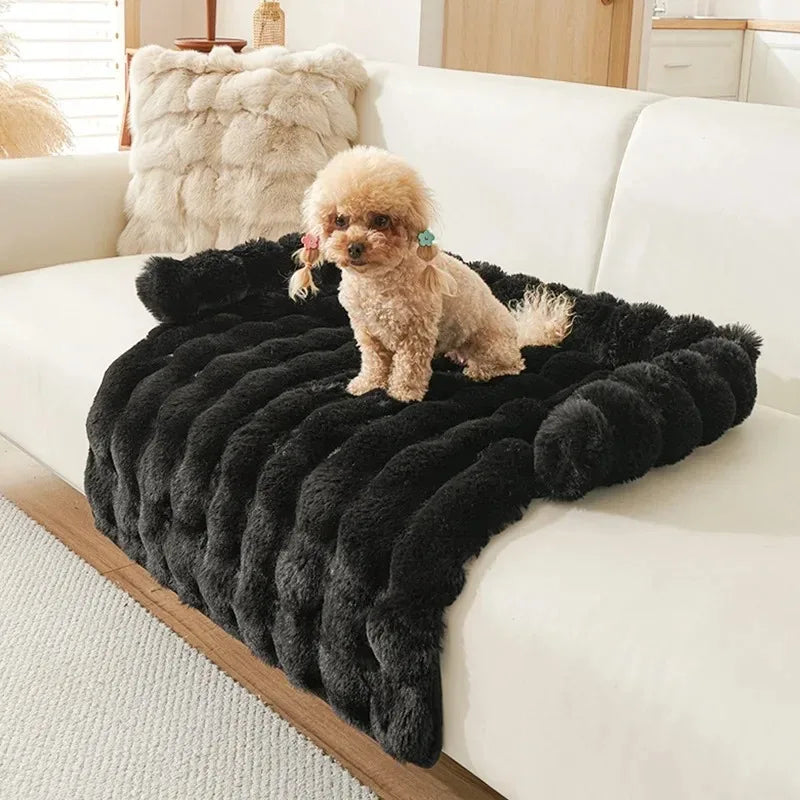 Pet Accessories Dog Bed Small Dog Baskets Puppy Breeds Dogs Medium Bedding Pets Products Large Bad Mat Cushions Beds Big Cushion