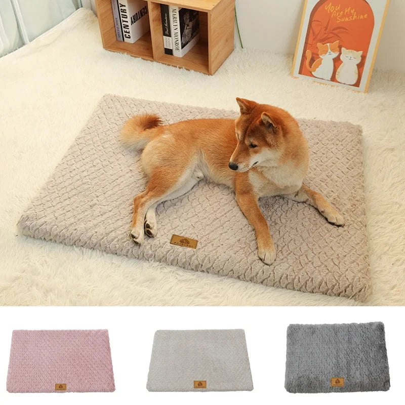 Pets Dogs Accessories Dog Bad Medium Bed Pet Products Big Mat Sofa Cushion Supplies Cushions Puppy Small Baskets Large Beds Cats