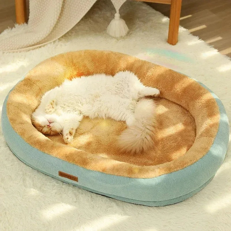 Cats Bed Accessories Puppy Goods Things All Beds Pet Products Houses Supplies Kitten Accessory House Basket Habitats Cushions