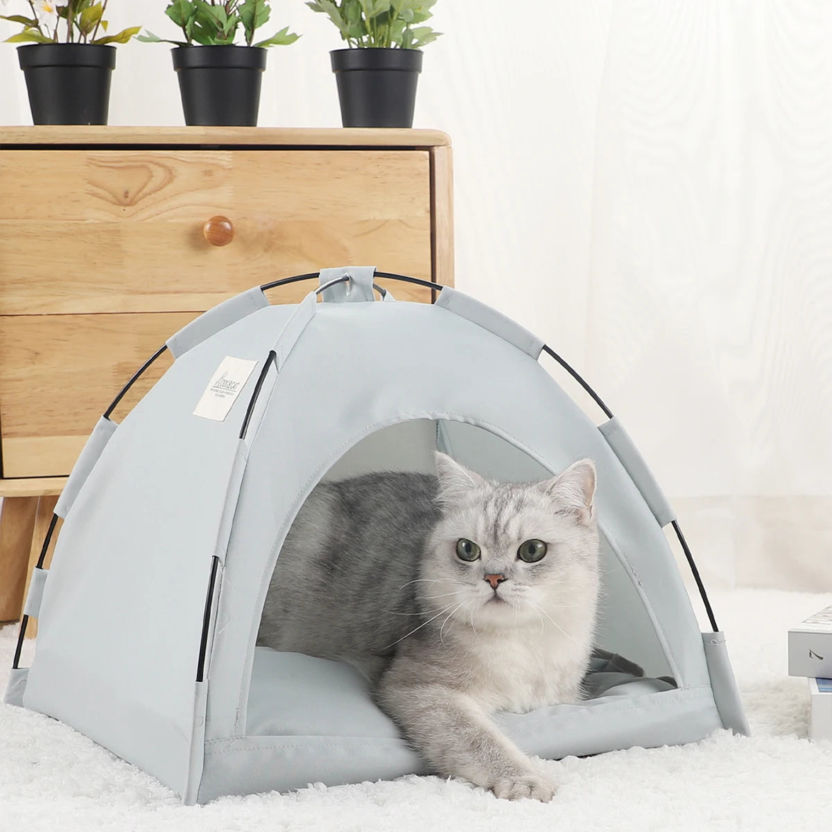 Cat Tent Beds Furnitures Warm Pet Accessories House for Cats Products & Furniture Winter Bed Supplies Cushions Pet Sofa