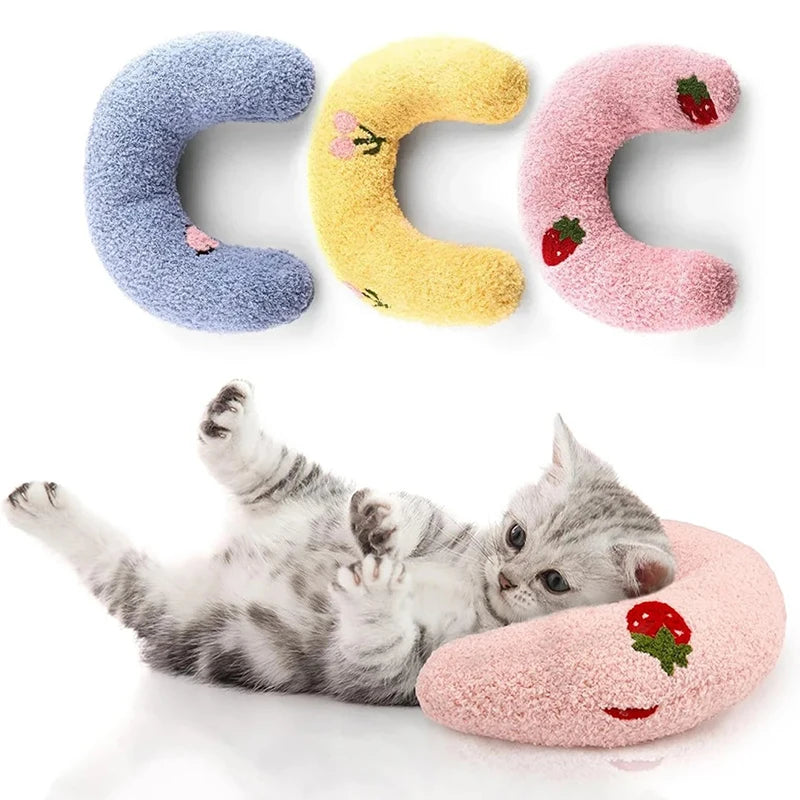 Cats Accessories Beds Dog Bed Houses and Habitats House Basket All Pet Products Mat Accessory Puppy Kitten Goods Things